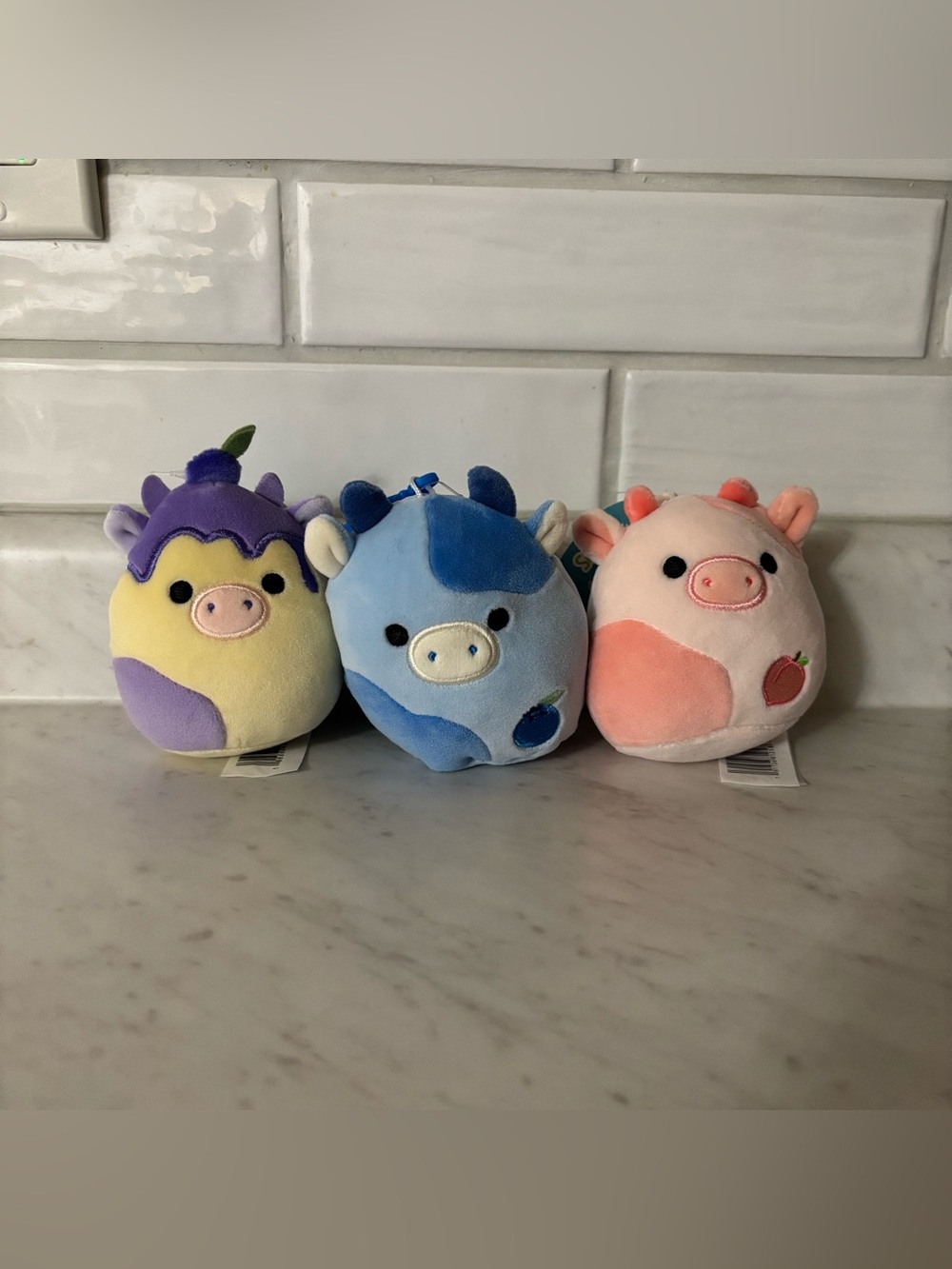 Cow Squishmallow Bundle (Fruit)